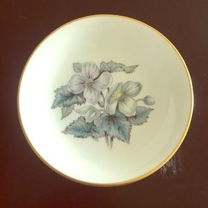 Royal Worcester saucer